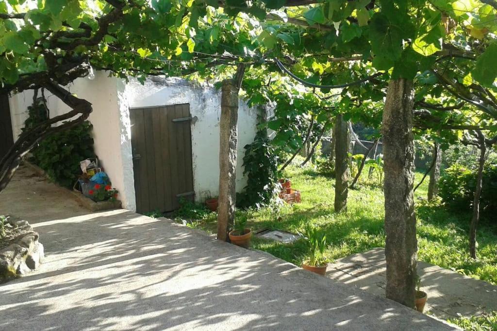 Вілла A Barraca. Casa Con Jardin Y Vistas A La Ria Буеу Екстер'єр фото